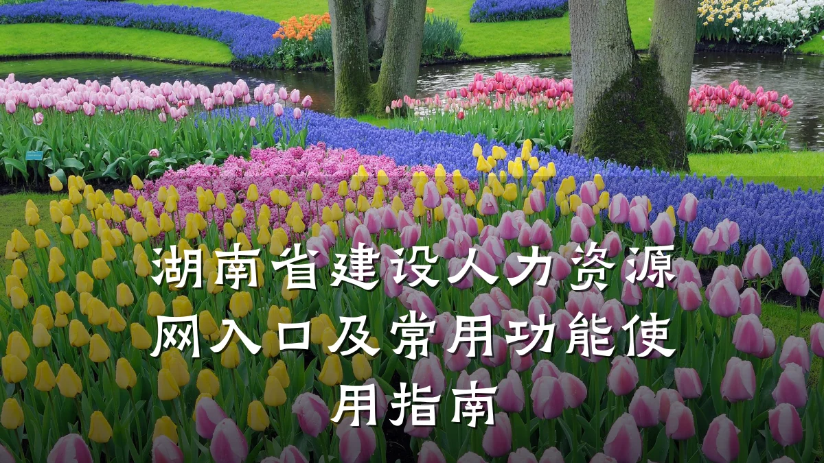 湖南省建设人力资源网入口及常用功能使用指南
