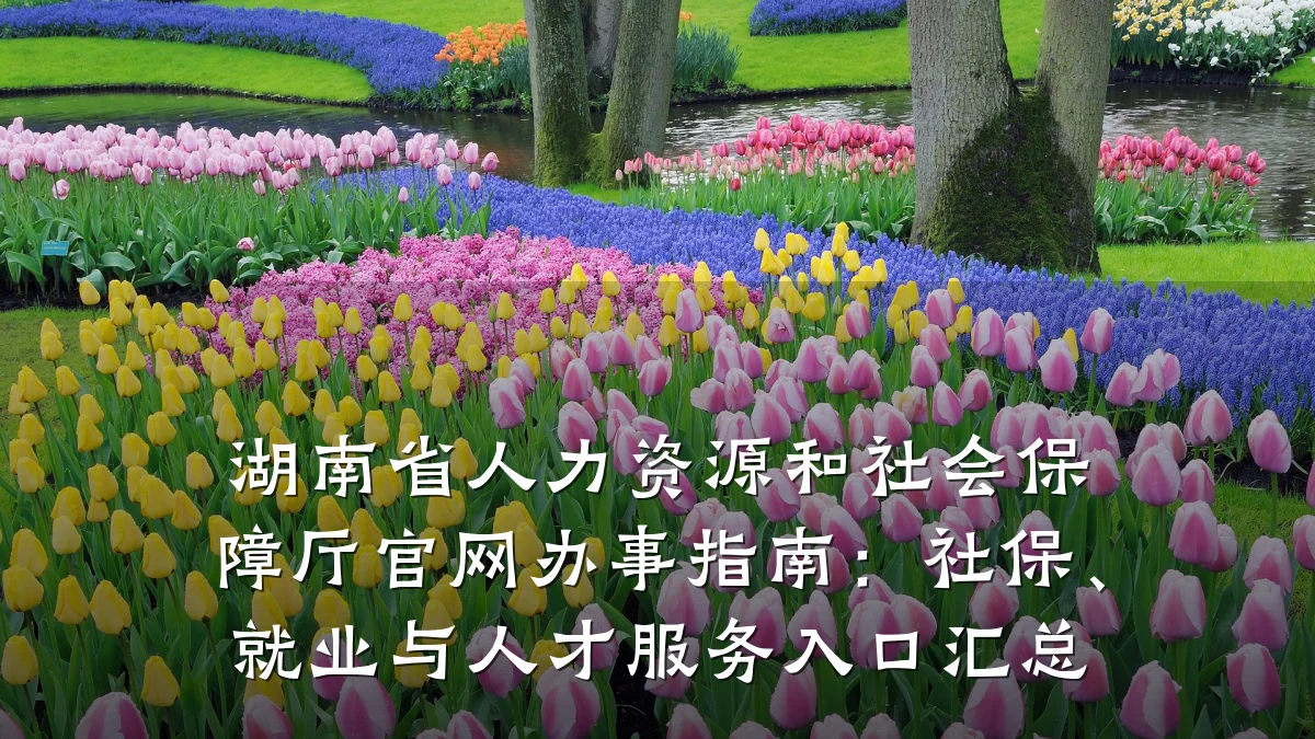 湖南省人力资源和社会保障厅官网办事指南：社保、就业与人才服务入口汇总