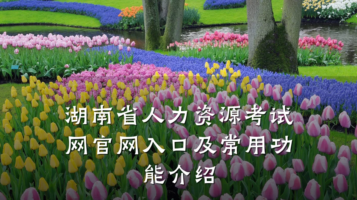 湖南省人力资源考试网官网入口及常用功能介绍