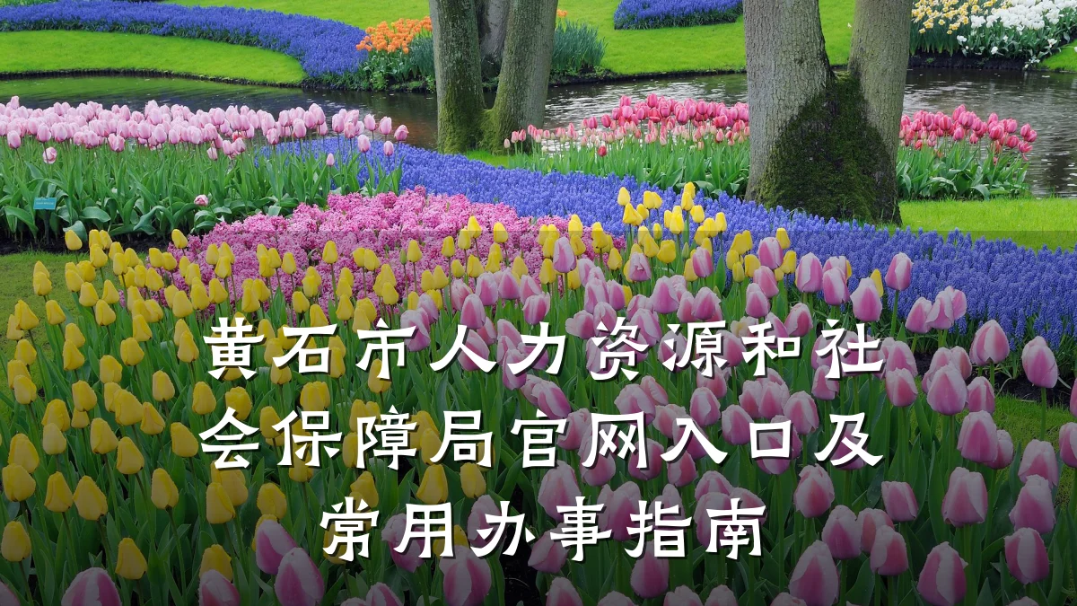 黄石市人力资源和社会保障局官网入口及常用办事指南