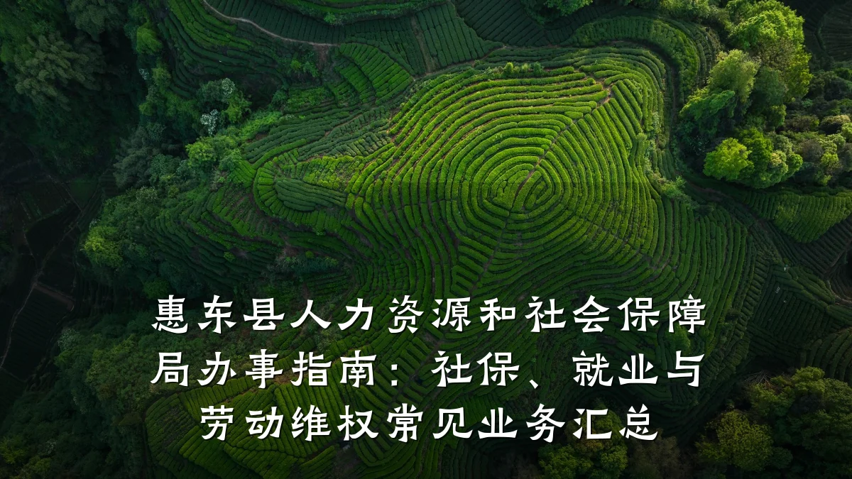 惠东县人力资源和社会保障局办事指南：社保、就业与劳动维权常见业务汇总