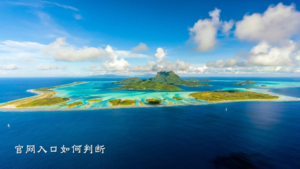 官网入口如何判断