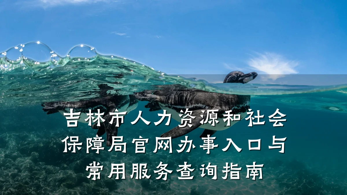 吉林市人力资源和社会保障局官网办事入口与常用服务查询指南