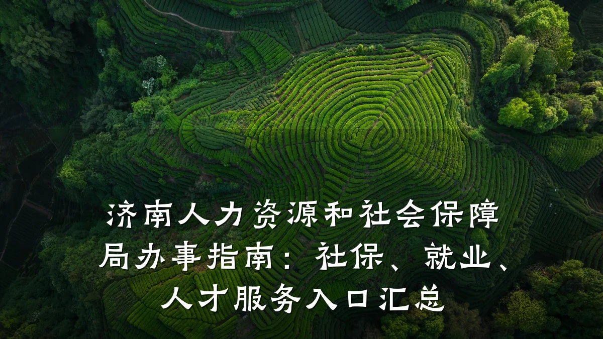 济南人力资源和社会保障局办事指南：社保、就业、人才服务入口汇总