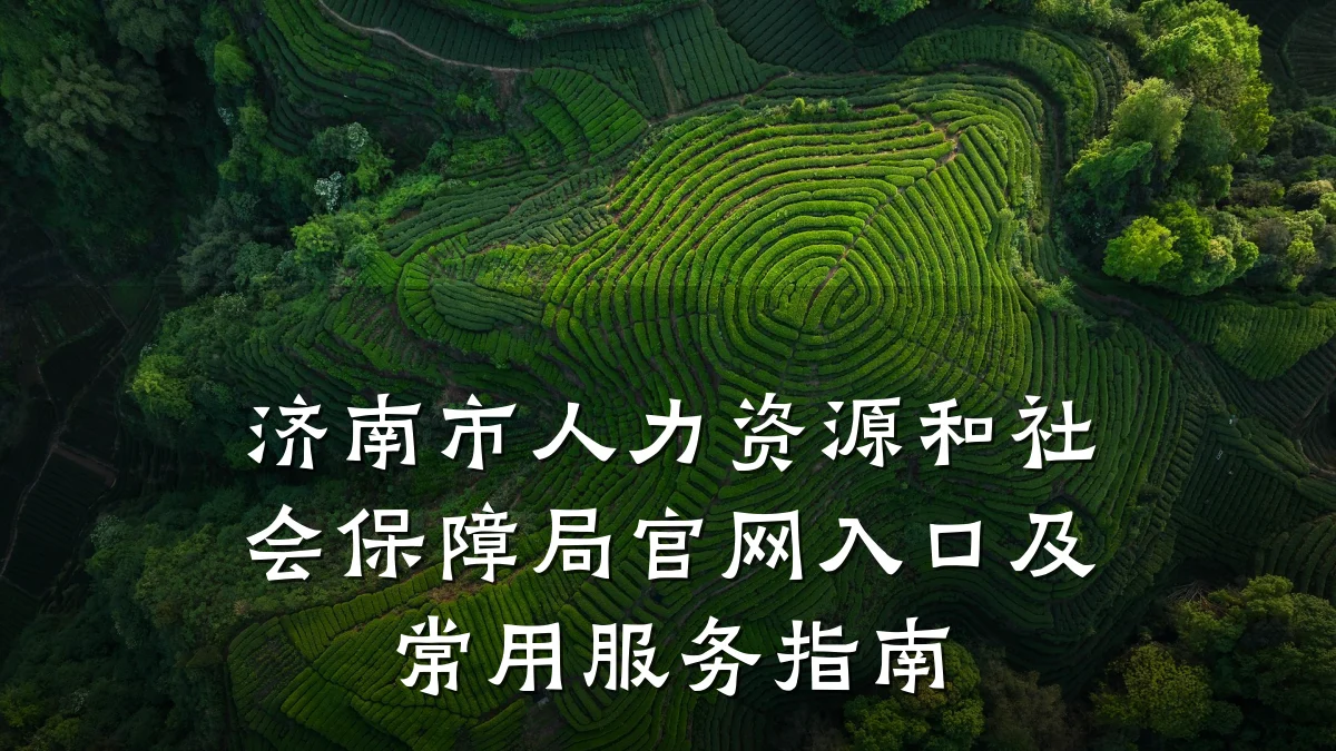 济南市人力资源和社会保障局官网入口及常用服务指南