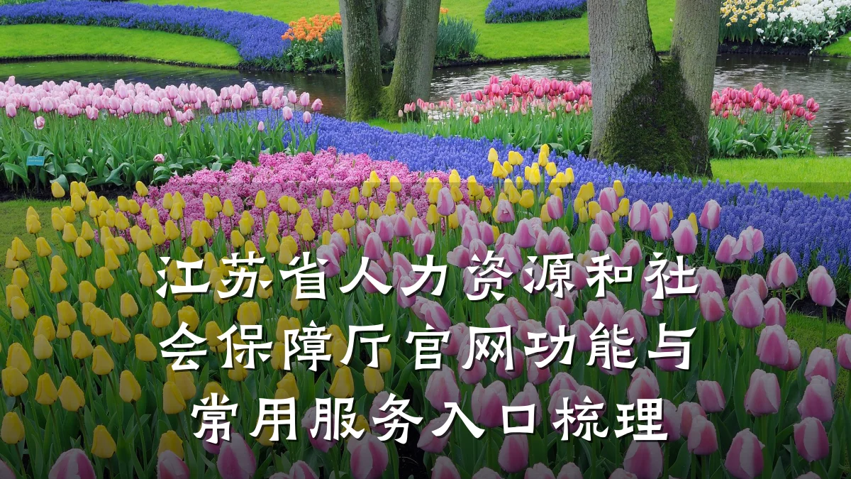 江苏省人力资源和社会保障厅官网功能与常用服务入口梳理