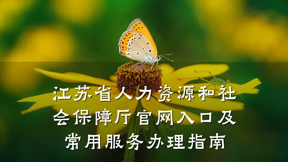 江苏省人力资源和社会保障厅官网入口及常用服务办理指南