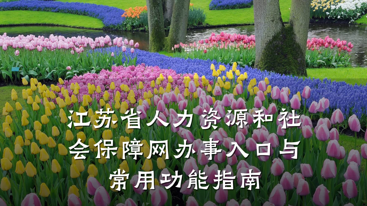 江苏省人力资源和社会保障网办事入口与常用功能指南