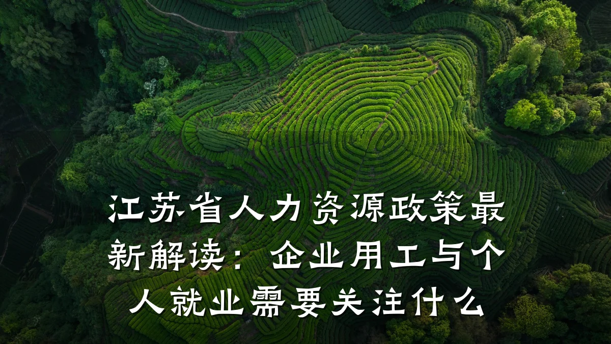 江苏省人力资源政策最新解读：企业用工与个人就业需要关注什么