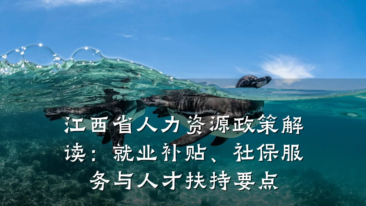 江西省人力资源政策解读：就业补贴、社保服务与人才扶持要点