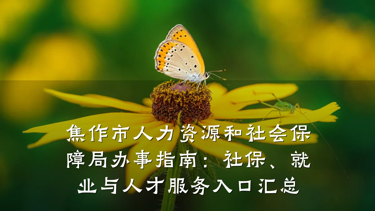 焦作市人力资源和社会保障局办事指南:社保、就业与人才服务入口汇总