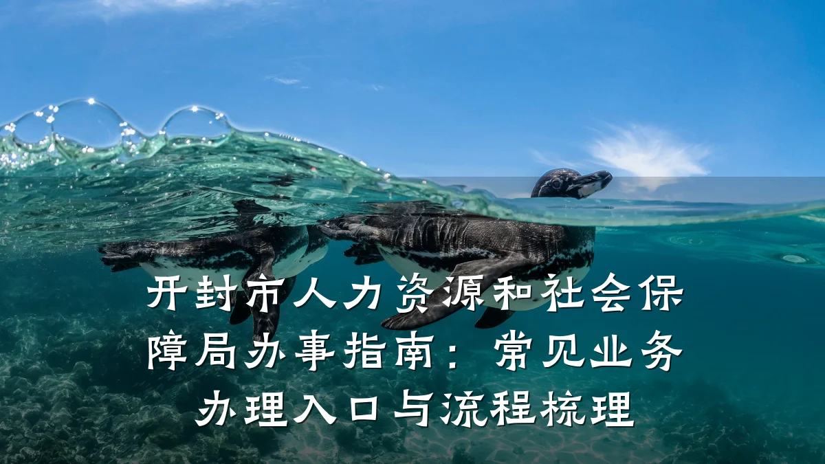 开封市人力资源和社会保障局办事指南：常见业务办理入口与流程梳理
