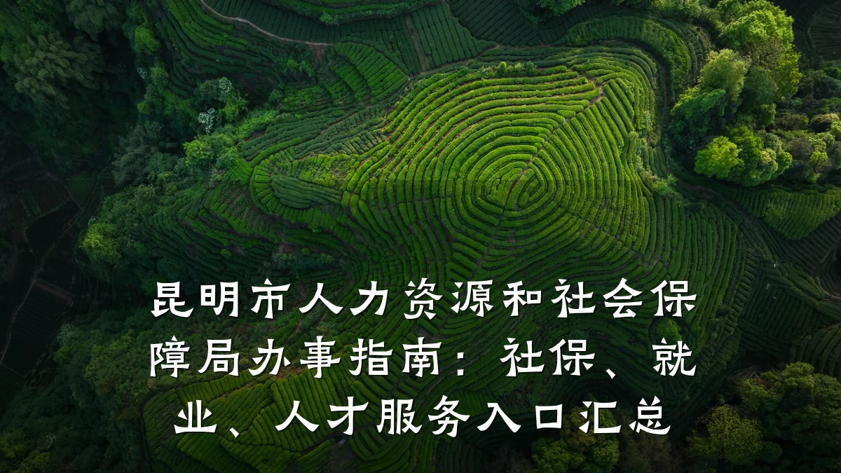 昆明市人力资源和社会保障局办事指南：社保、就业、人才服务入口汇总