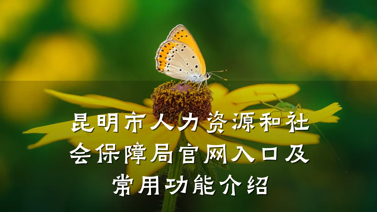 昆明市人力资源和社会保障局官网入口及常用功能介绍