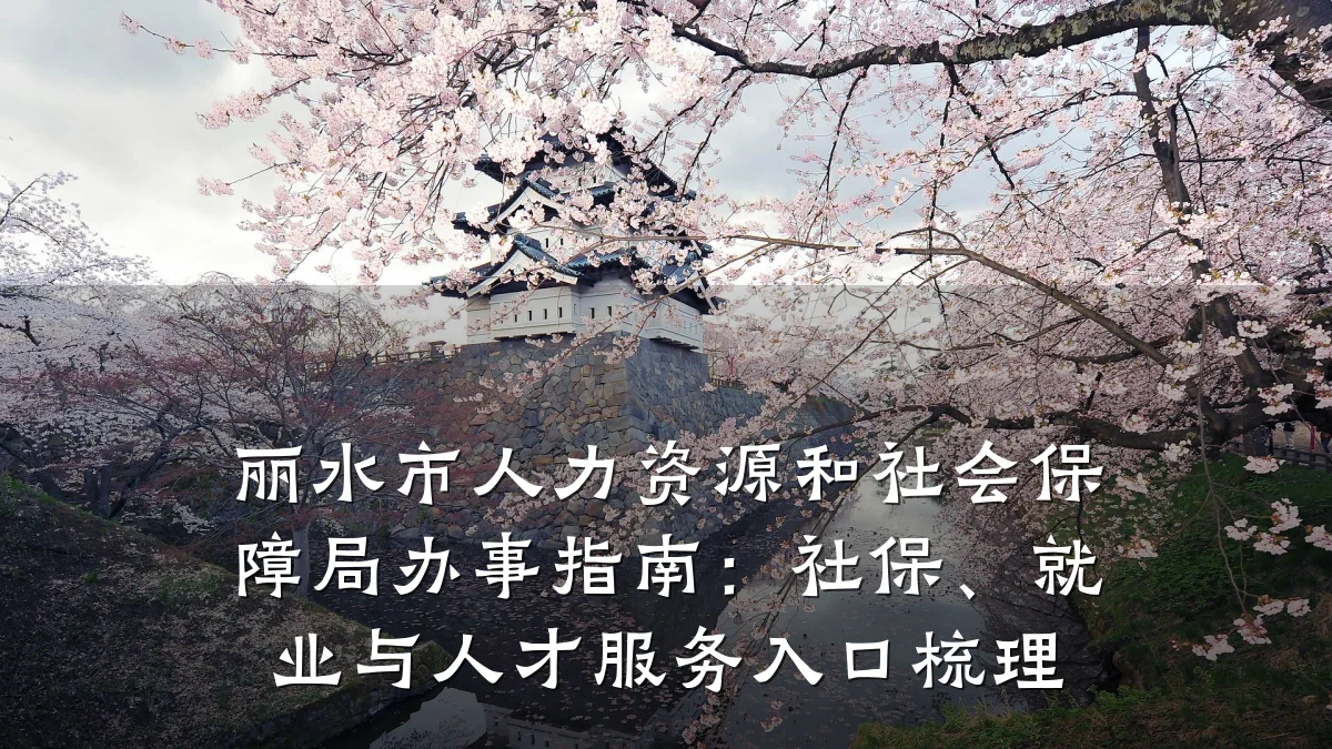 丽水市人力资源和社会保障局办事指南：社保、就业与人才服务入口梳理