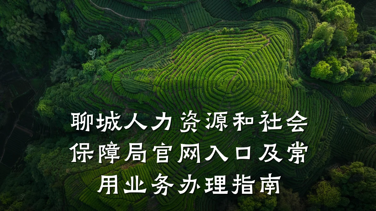 聊城人力资源和社会保障局官网入口及常用业务办理指南