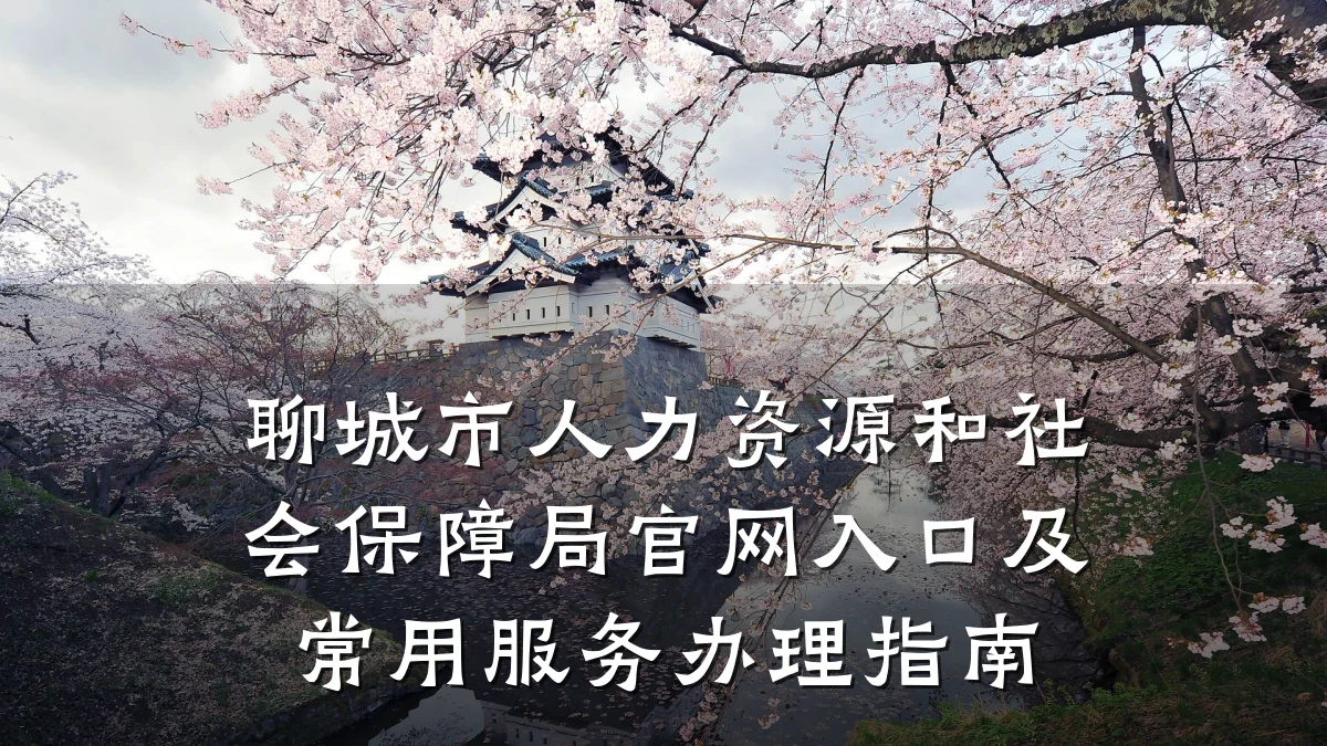 聊城市人力资源和社会保障局官网入口及常用服务办理指南