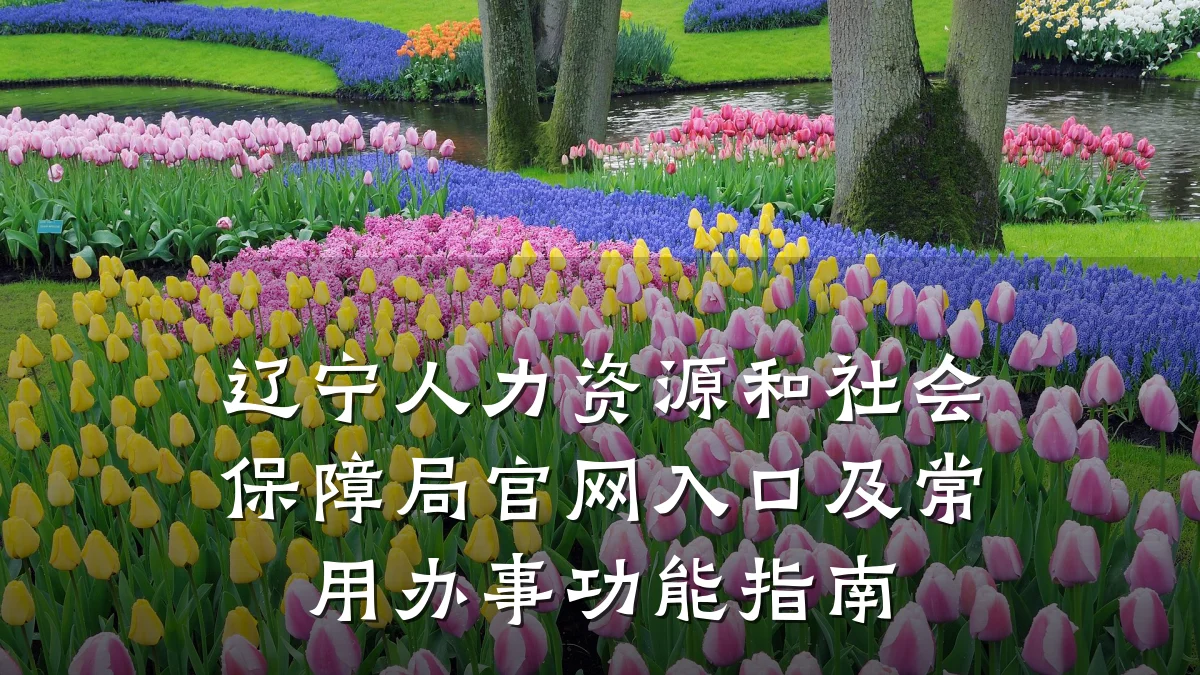 辽宁人力资源和社会保障局官网入口及常用办事功能指南