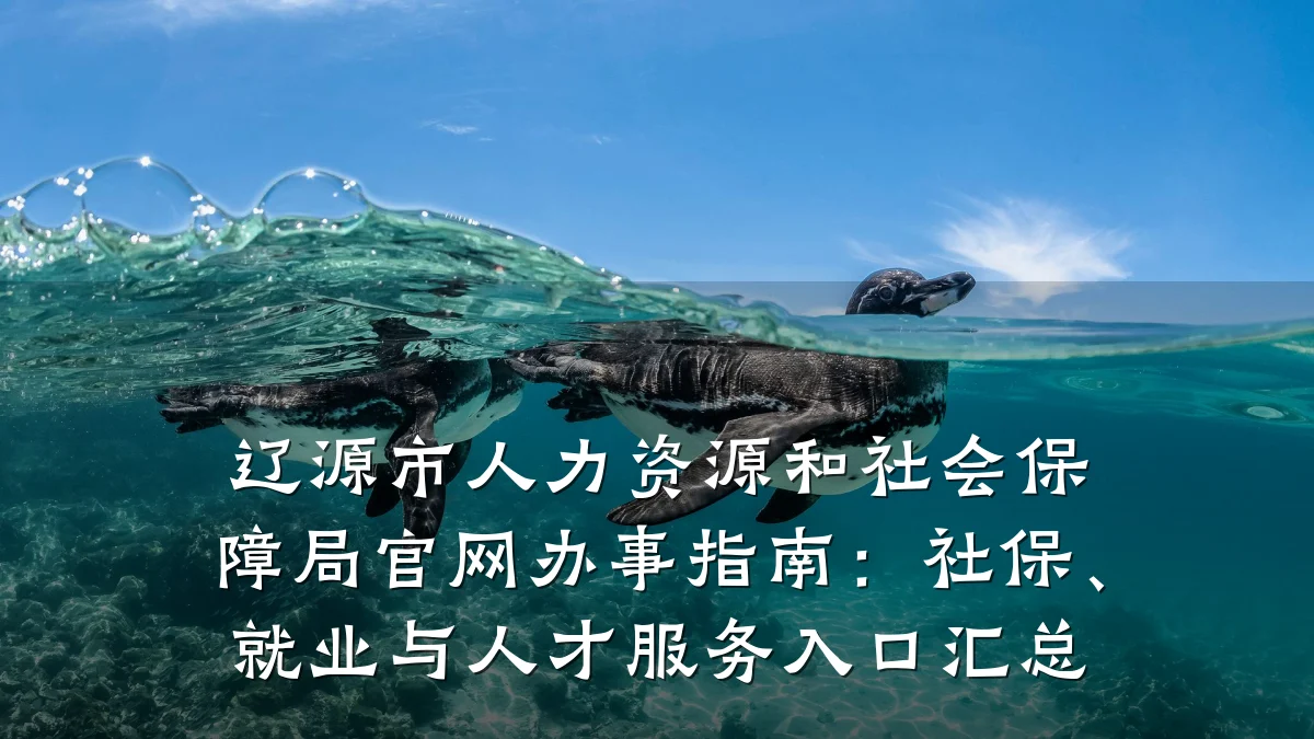 辽源市人力资源和社会保障局官网办事指南：社保、就业与人才服务入口汇总