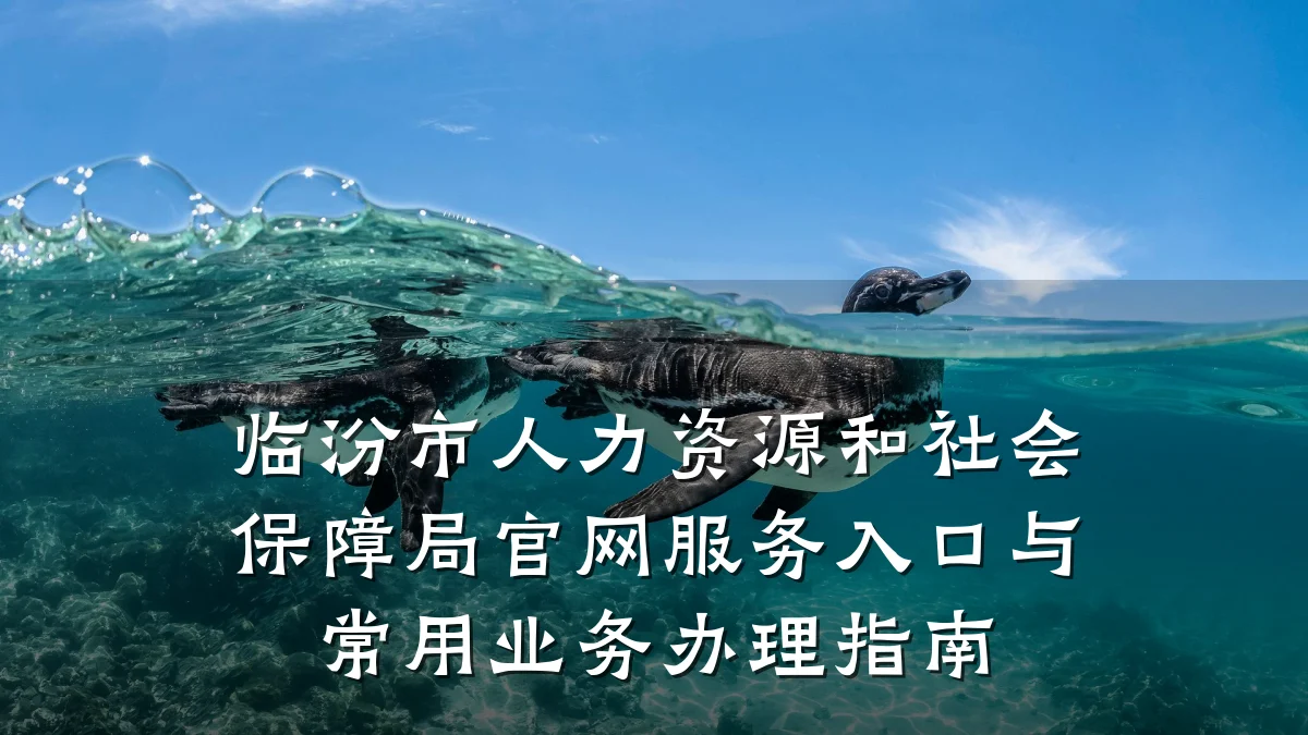 临汾市人力资源和社会保障局官网服务入口与常用业务办理指南