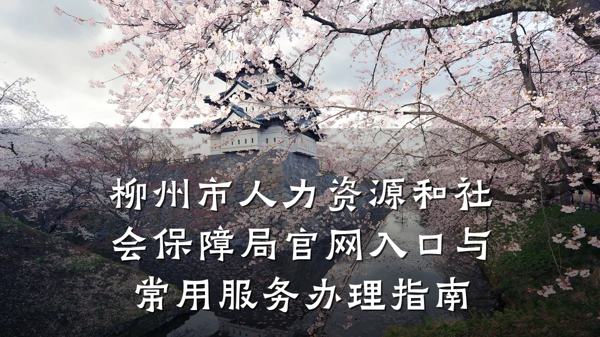 柳州市人力资源和社会保障局官网入口与常用服务办理指南