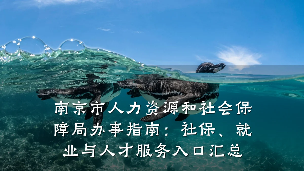 南京市人力资源和社会保障局办事指南：社保、就业与人才服务入口汇总