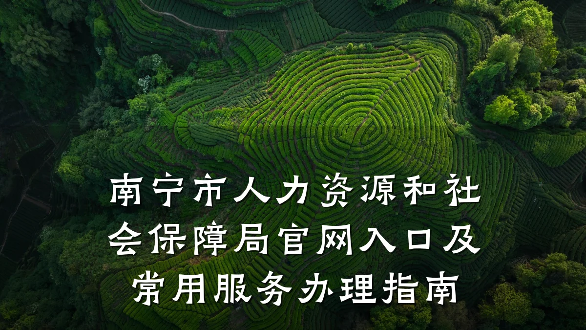 南宁市人力资源和社会保障局官网入口及常用服务办理指南