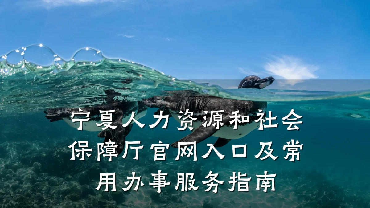 宁夏人力资源和社会保障厅官网入口及常用办事服务指南