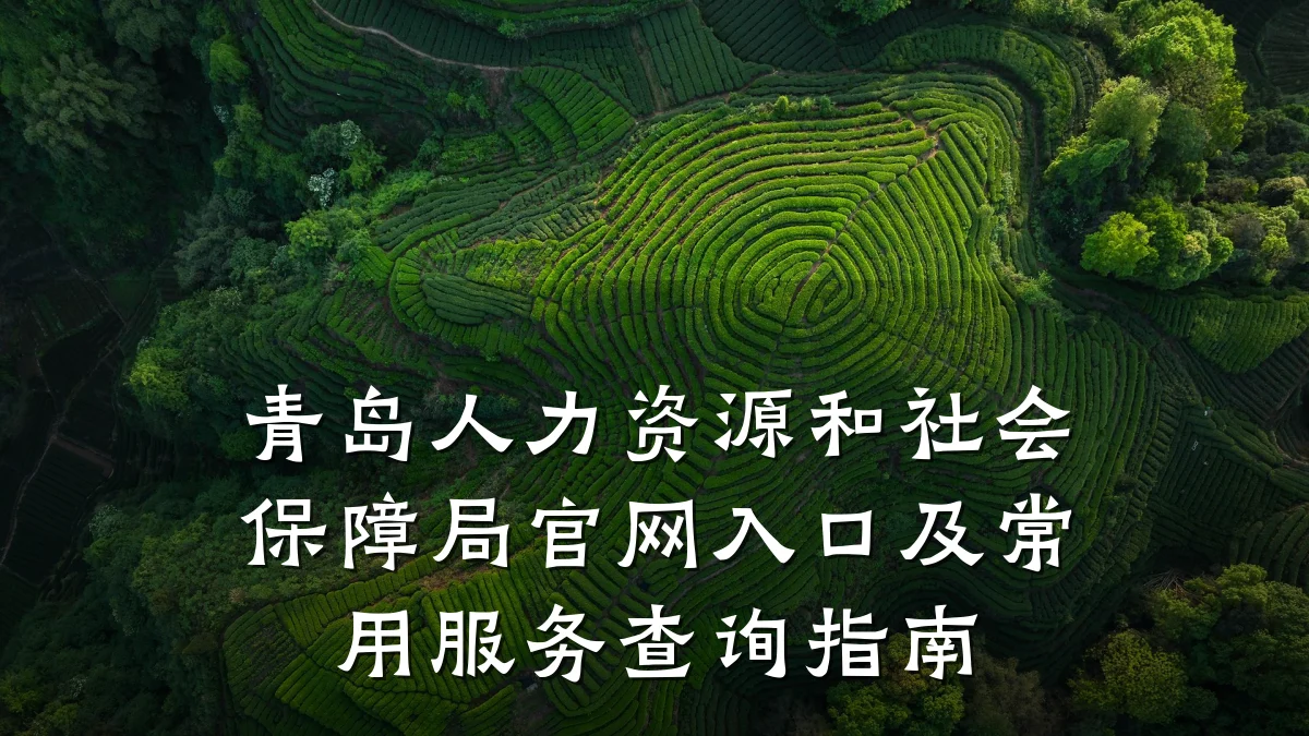 青岛人力资源和社会保障局官网入口及常用服务查询指南