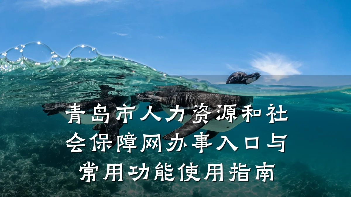 青岛市人力资源和社会保障网办事入口与常用功能使用指南