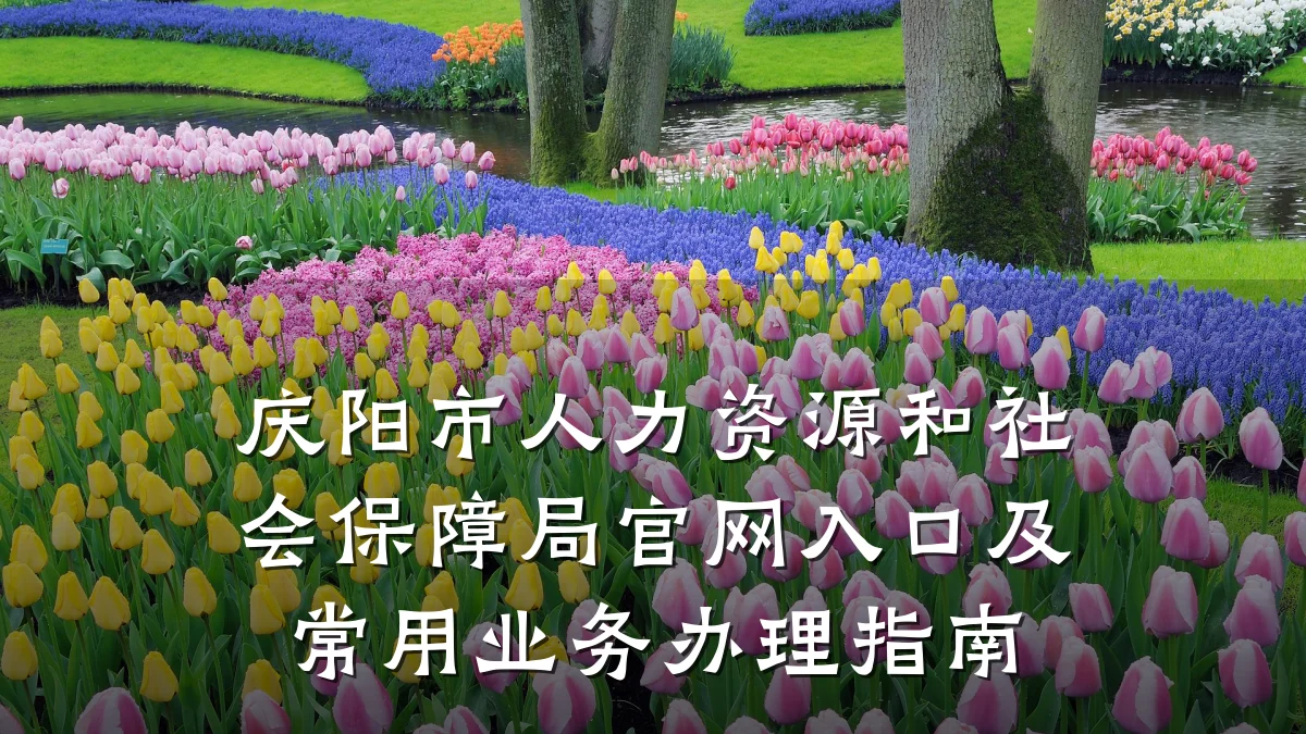 庆阳市人力资源和社会保障局官网入口及常用业务办理指南