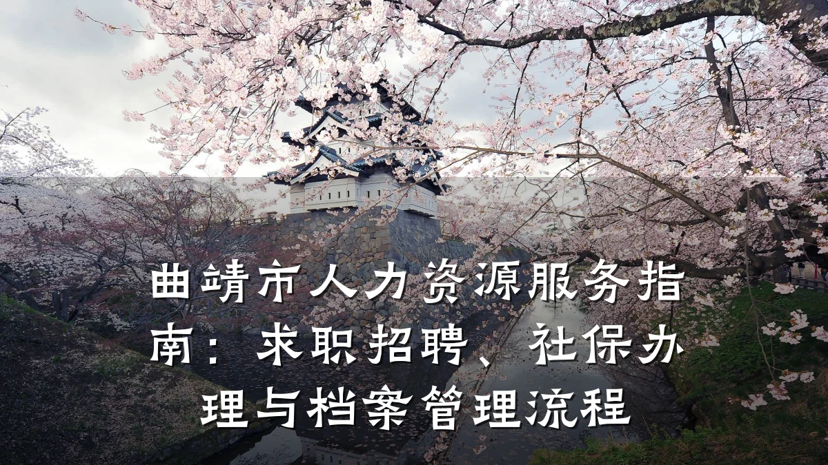 曲靖市人力资源服务指南：求职招聘、社保办理与档案管理流程