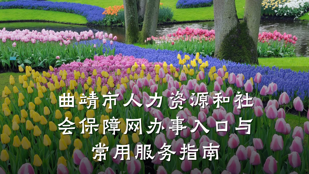 曲靖市人力资源和社会保障网办事入口与常用服务指南