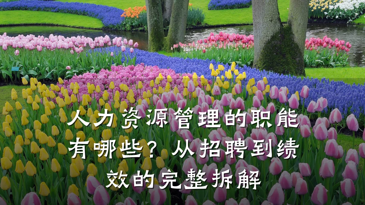 人力资源管理的职能有哪些？从招聘到绩效的完整拆解
