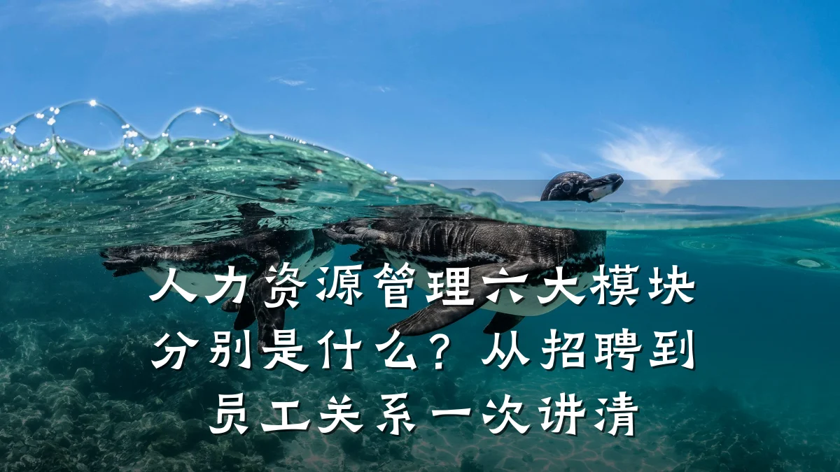 人力资源管理六大模块分别是什么？从招聘到员工关系一次讲清