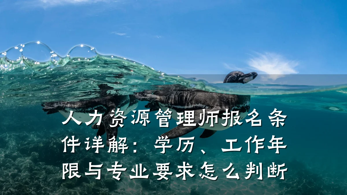 人力资源管理师报名条件详解:学历、工作年限与专业要求怎么判断