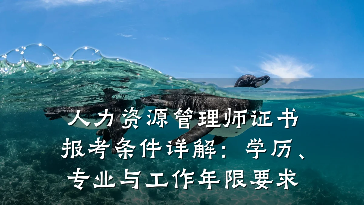 人力资源管理师证书报考条件详解：学历、专业与工作年限要求