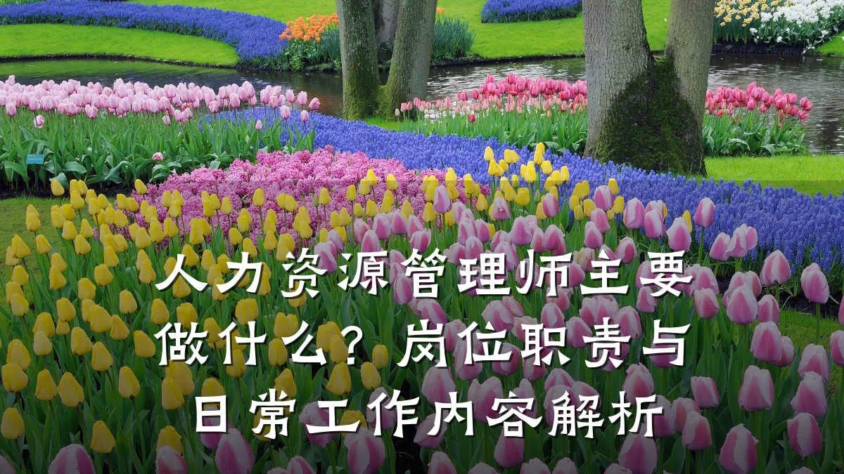 人力资源管理师主要做什么?岗位职责与日常工作内容解析