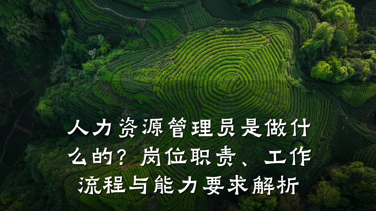 人力资源管理员是做什么的？岗位职责、工作流程与能力要求解析