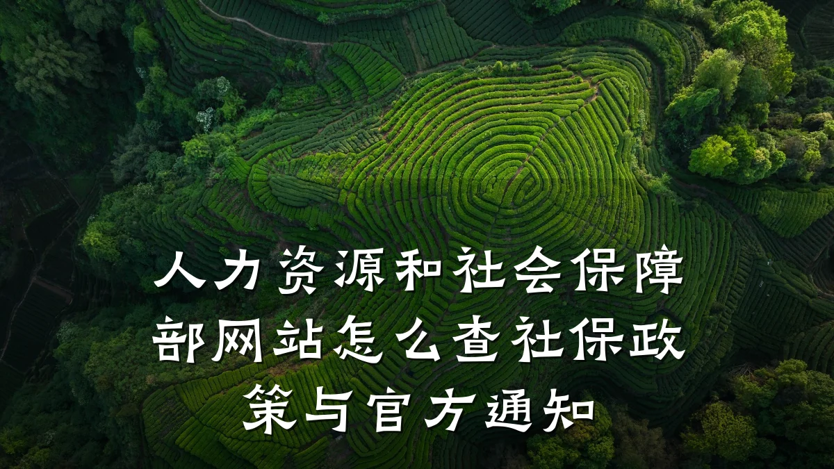人力资源和社会保障部网站怎么查社保政策与官方通知