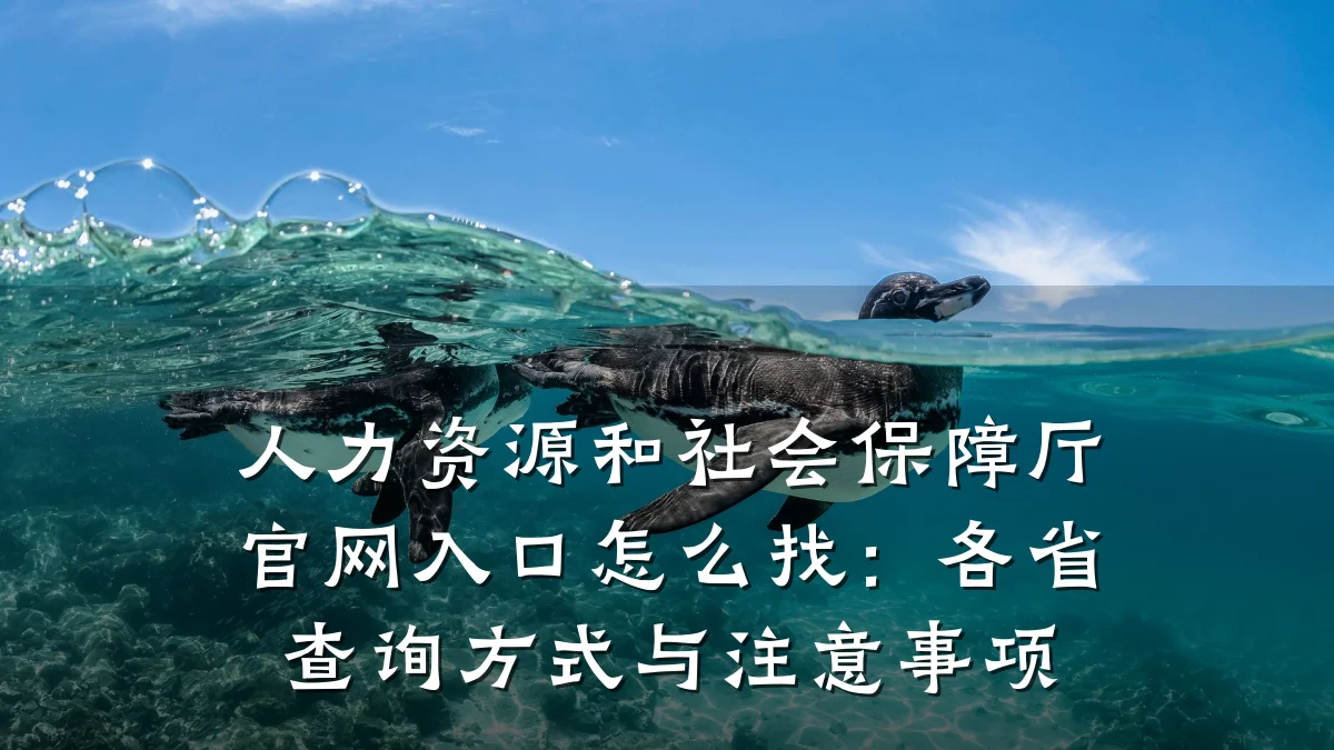 人力资源和社会保障厅官网入口怎么找：各省查询方式与注意事项