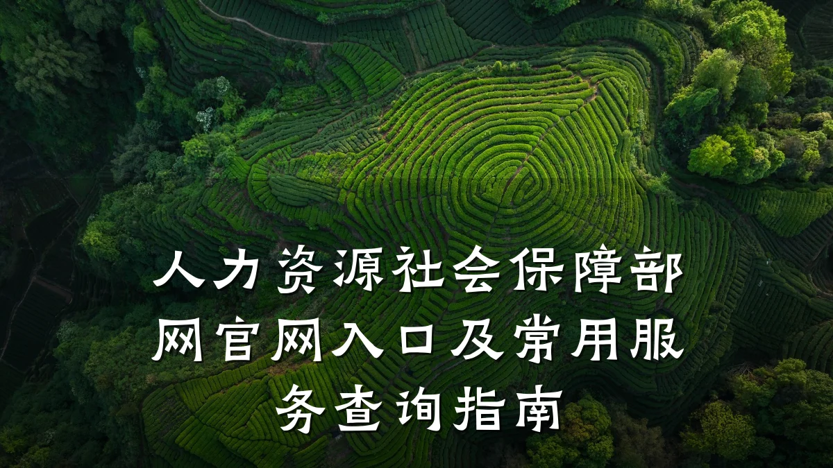 人力资源社会保障部网官网入口及常用服务查询指南