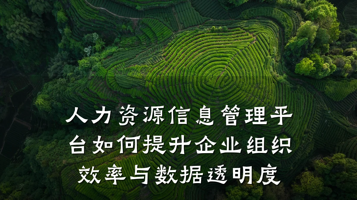 人力资源信息管理平台如何提升企业组织效率与数据透明度