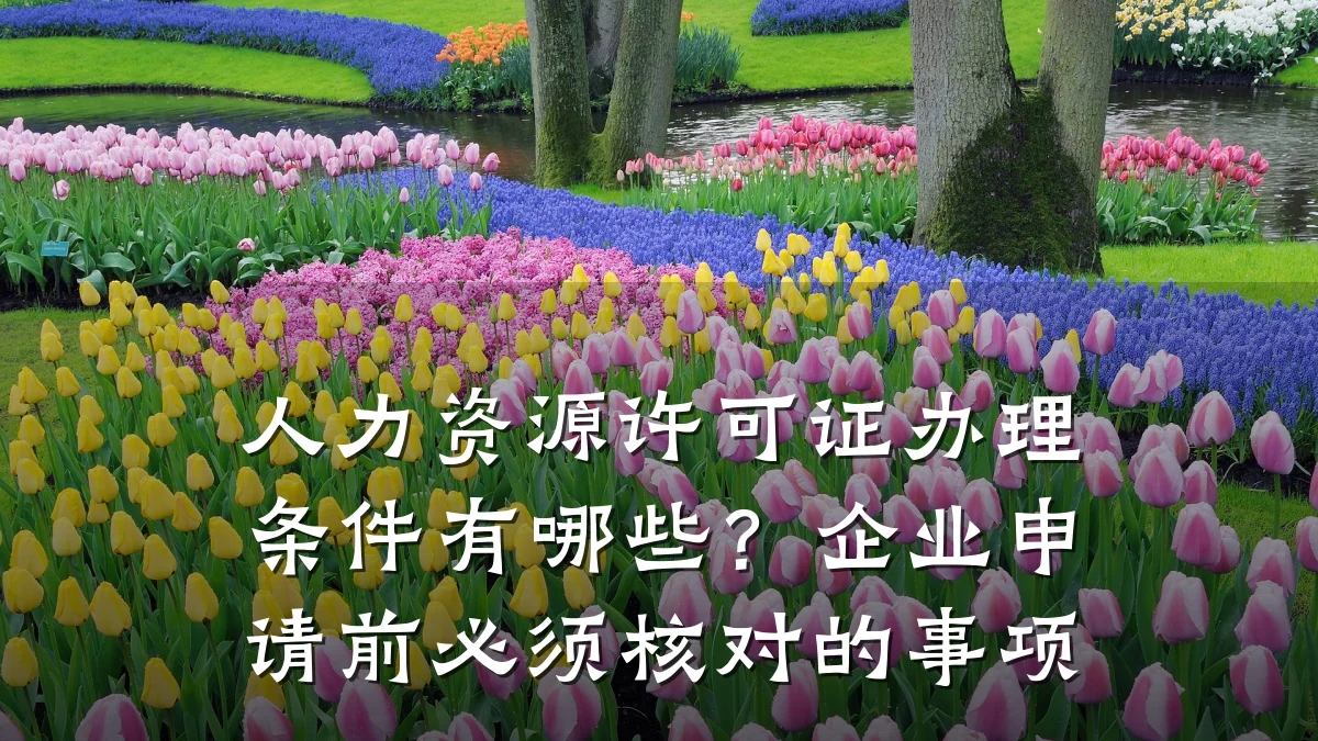 人力资源许可证办理条件有哪些?企业申请前必须核对的事项