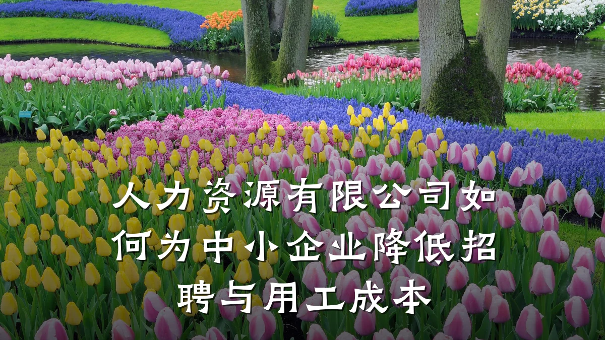 人力资源有限公司如何为中小企业降低招聘与用工成本