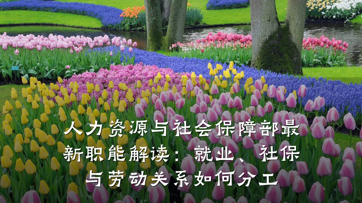 人力资源与社会保障部最新职能解读:就业、社保与劳动关系如何分工