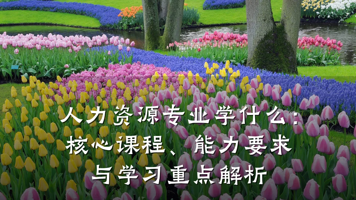 人力资源专业学什么：核心课程、能力要求与学习重点解析