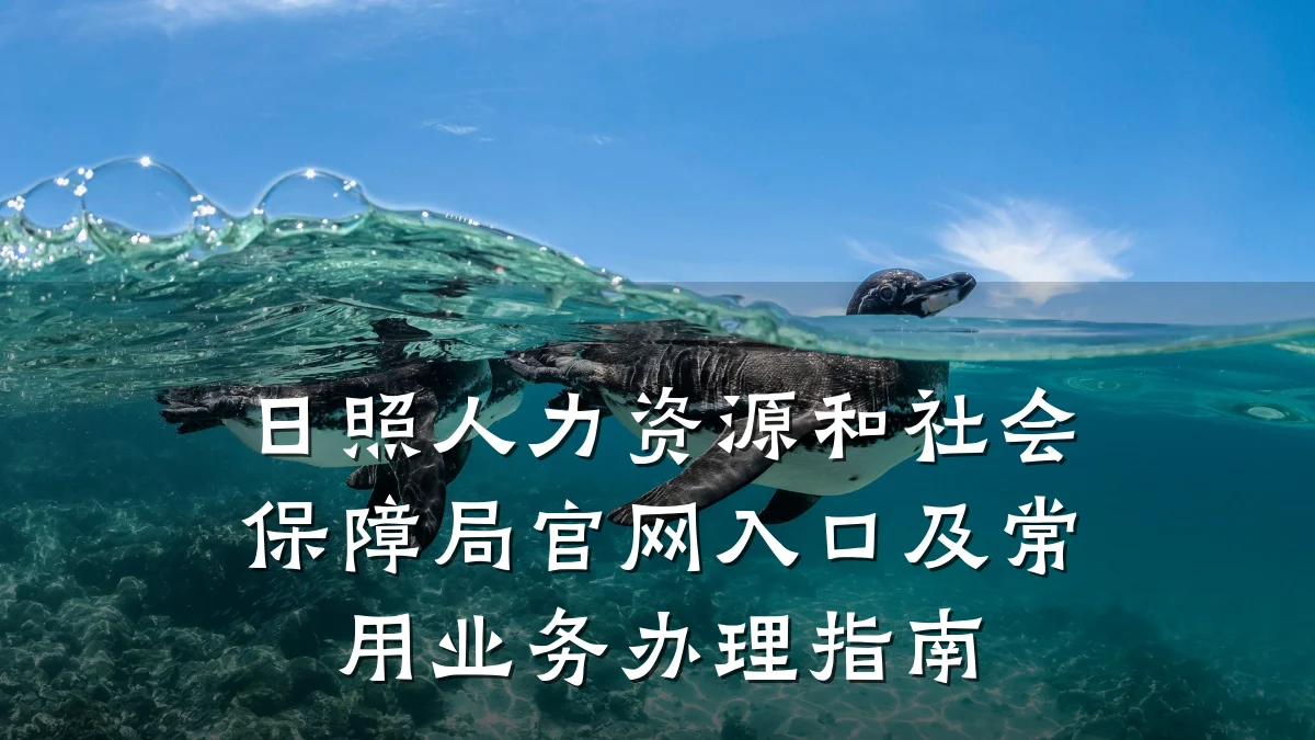 日照人力资源和社会保障局官网入口及常用业务办理指南