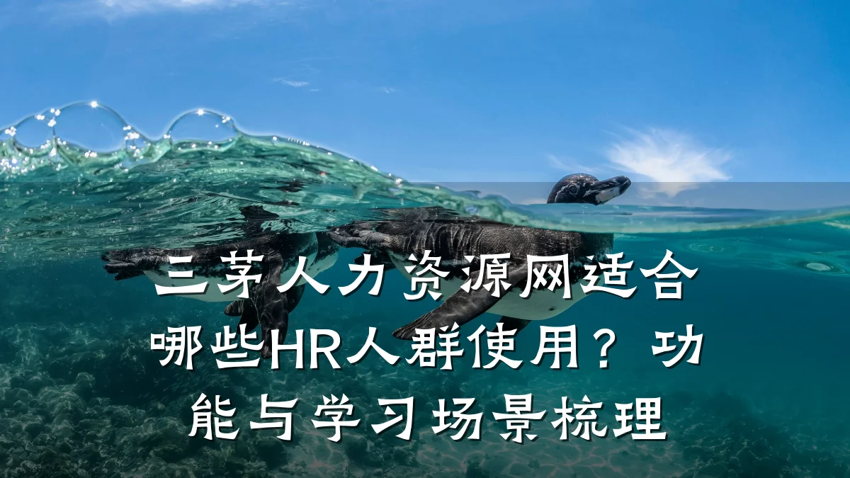 三茅人力资源网适合哪些HR人群使用？功能与学习场景梳理