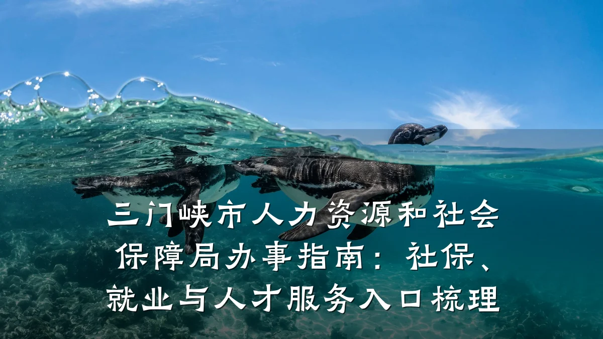 三门峡市人力资源和社会保障局办事指南:社保、就业与人才服务入口梳理